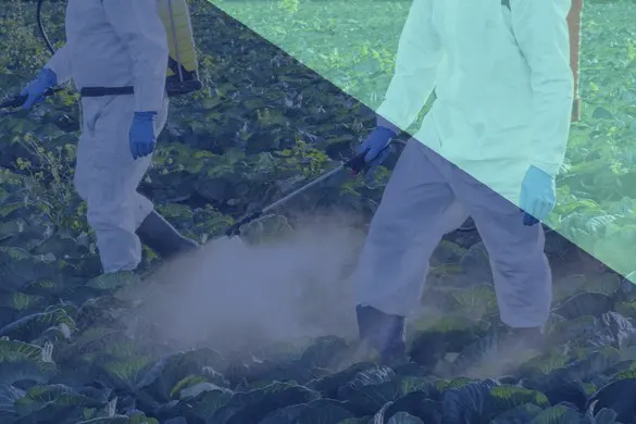 paraquat parkinson’s lawsuit thumbnail