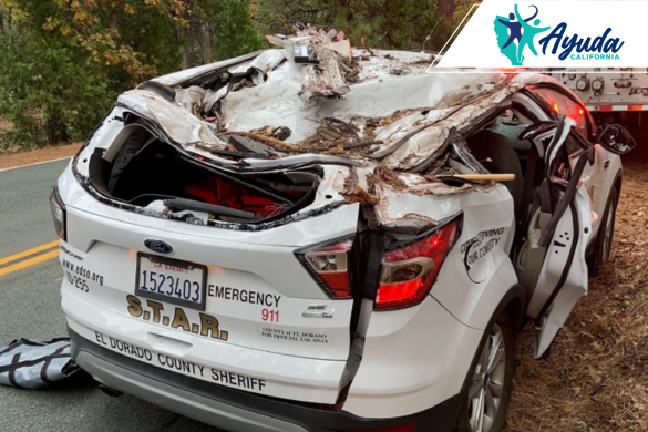 Accidente con Árbol en El Dorado