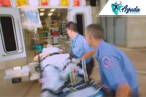 fatal hit-and-run accident