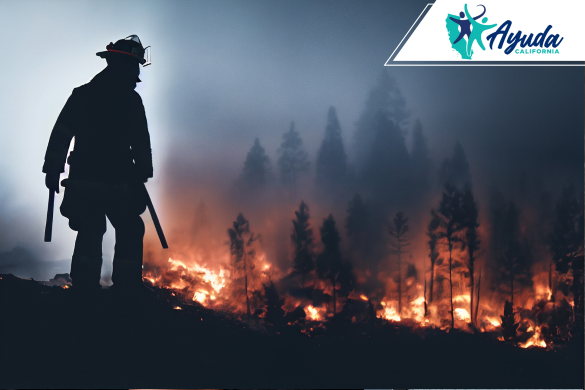 A firefighter stands watching a wildfire spread through a forest, symbolizing the vast devastation caused by the Southern California wildfires. The image highlights the humanitarian and economic emergency impacting affected communities, as supported by Ayuda California.
