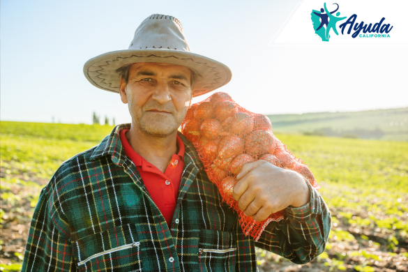 Cambios en Póliza de State Farm Afectan a Negocios Latinos